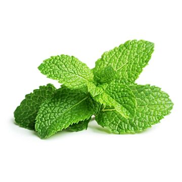 Bolsjehuset Pebermynte aroma 10 ml – aromakoncentrat