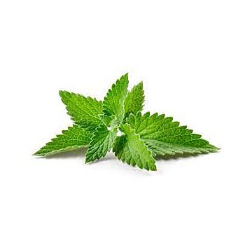 Decadent Vapours Spearmint aroma 10 ml – aromakoncentrat