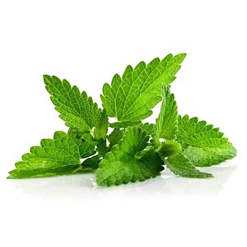 Bolsjehuset Menthol aroma 10 ml – aromakoncentrat
